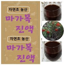마가목진액 45팩(x115ml 마가목즙 액기스, 1형(마가목즙 45팩