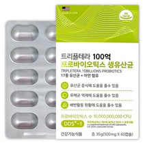 람노스 유산균 lgg 유당없는유산균 알약 형태 임산부 락토바실러스 가세리 람노서스 분양, 1박스