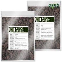 국내산 개다래열매 300g 충령 목천료, 국산 개다래열매 300gx2팩