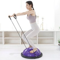 폭스밸리 라인 하프짐볼 보수볼 튜빙밴드+공기펌프 증정