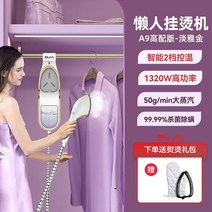 휴대용다리미 동대문 옷 매장 홈쇼핑 스티머 여행용 가정용 스팀기 소형 부스터 보관, 화이트 골드 기본구성