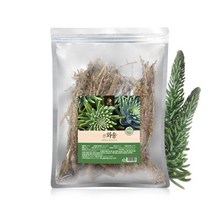 현모양처 국내산 와송 건재 100g 건와송 와송 건재 말린, 상세페이지 참조