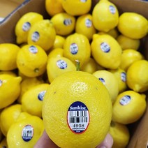 썬키스트 팬시 레몬 2kg 3kg 5kg 10kg 개당 120g 내외, 팬시 레몬 5kg 40~44과, 1개