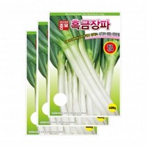 아시아종묘 파씨앗종지 아시아흑금장파(10gx3)