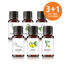 3+1 퓨어 에센셜 아로마 오일 [ 3개이상무료배송], 페퍼민트10ml(3개주문시+1개랜덤향)