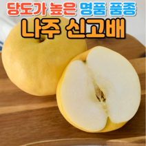 나주 햇배 신고배 원황배 황금배 과일배 못난이 명절 선물세트 5~15kg, 1박스, 가정용 5kg 5~7과