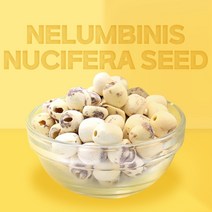 열린약초 깐 연자육 연꽃씨앗 연꽃씨 연육 연씨 연밥, 깐 연자육(통) 300g