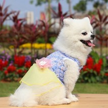 강아지한복 고양이설빔 설날 추석 명절 애견한복 개를위한 여름 복장 애완 동물 개 옷 치와와 웨딩 드레스, 03 보라색_03 M