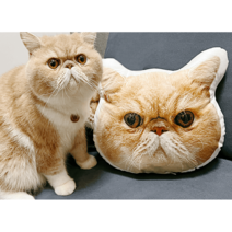 몽냥펫 쿠션 맞춤제작 DIY 고양이 강아지 반려동물 방석 베개 침대, 양면 커스텀 스웨이드