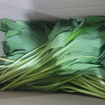 강원도 줄기 대 명이나물 1kg 2kg 산에서 재배한 산마늘 생 명의나물, 1box