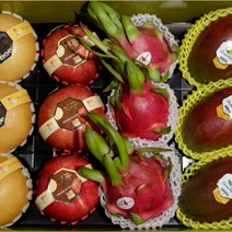 명절 혼합과일 수입과일 선물세트 12과 5.5kg (애플망고/용과/사과/배) (한라봉/석류/사과/배) + 선물용 보자기 무료증정, 애플망고/용과/사과/배 5.5kg