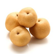 맛있는 가정용 흠집배 15kg 나주 신고배 판매 진맛깔