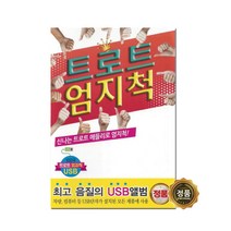 트로트 엄지척 USB, 1USB