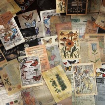 빈티지 레터링 식물 우주 세계여행 랩핑지 배경지 떡메모지 다꾸 페이퍼, 3.나비도감 (ME-666)