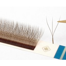 마리아 3D W 모양의 속눈썹 연장 용품 0.07 갈색 자연 메이크업 팬 Y 클러스터 개인 상표, 02 Brown_04 11mm_03 C