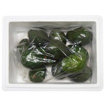 아보카도 12입 2.8kg 내외 퓨레 오일 아보카토 선물용 Avocados Large 12ct(2.8kg)Item #602500