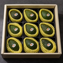 특별한 과일 선물 13종 허니듀 멜론 태국망고 페루 애플망고 선물세트 김천 샤인머스켓 선물세트 허니글로우 파인애플 페루 아보카도 부모님 추석선물, 아보카도 선물세트 9과