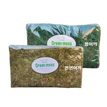 농사친구 천연이끼 청이끼 1kg, 01. 천연이끼(흐린색) 1kg, 1개