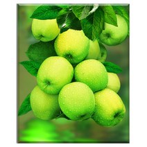 FASEN diy보석십자수 캔버스 형액자 세트 40cm x 50cm, AYW-78풋사과 2입니다