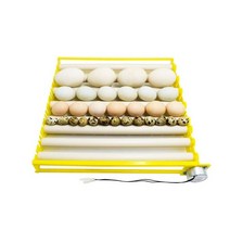 계란 부화기 병아리집 자동 계란 터너 완전 자동 계란 인큐베이션 트레이 미니 인큐베이터 부화기 모터 포, 02 green