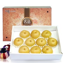 [발송일예약]소담촌 VIP고급선물용 나주배선물세트 7.5kg(7-10과)대과, 순차발송