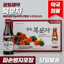 제트스카이 광동제약 복분자 100ml*10개입, 10병(1박스), [100ml]