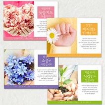 예닮 엽서전도지 E형 교회전도지 교리전도지 카드 엽서 사영리 전도용품 새생명축제 생일카드 교회선물 교회용품 전도지 인쇄 4종 2천매, 1세트