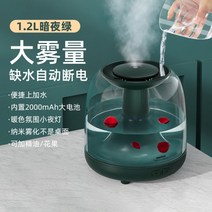 가열식가습기 웰포트 가열식 가습기 휴대용 무음 침실﻿RT-A500, 다크나이트 그린 [간편한 수분가습]