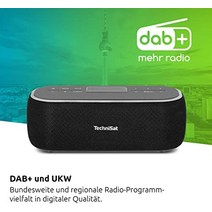 TechniSat Viola BT 1 - DAB+ 디지털 라디오(FM DAB 시계 알람 타이머 즐겨찾기 메모리 LCD 핸즈프리 기능 AUX-in 배터리 전원 공급 장치 6W)가 있는 휴대용 Bluetooth 스피커 검정/회색-25657, 검은색, DAB+, BT, 모노, 액정 디스플레이