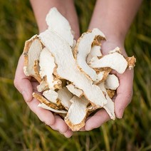 봉래 국산 단풍마(절) 200g/건조단풍마/생단풍마/손질단풍마/단풍마뿌리 식품 > 건강식품 전통건강식품 기타전통건강식품/한방재료, 200g, 1, 200g” class=”wr-img”></a></div>
</div>
</div>
</div>
<div class=