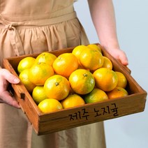 집밥친구 제주도 귤 고당도 제주 노지 감귤 가정용 5kg 10kg