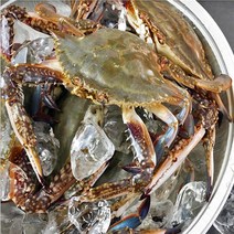 연평도 국내산 알배기 냉동 암 꽃게, 냉동 3kg(9미~15미), 1개