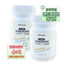프리미엄 콘드로이친 1200 상어연골 콘트로이친 콘드로이틴 뼈 연골 무릎 관절, 02. 2박스 x 60정 (2개월분)