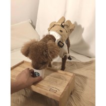 패션퍼피 명품강아지옷 트렌치원피스 XS-XL, 투명