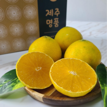 (26일 오전9시 주문마감) 제주 산지직송 황금향 명품 선물세트, 로얄과 2kg