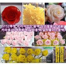 1리터 알파용액(탈수 탈색보조 성형 안정제) / 알파플러스(표백) 옵션선택 [드림팜웰] 이액형 프리저브드 용액 (특허정품), S1S2 장미꽃용 투명용액