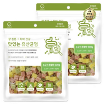 라이브잇 굿데이 맛있는 유산균껌 강아지 간식, 20개, 300g, 소고기