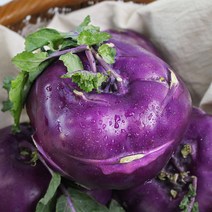 친환경팔도 [팔도농장] 아삭 달콤한 제주 햇 콜라비 10kg, 1개