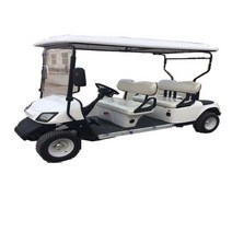 전동카트JIUTANG 4 승객 전동 로드 골프 카트 배터리 충전기 모터 포함, 01 FOB no battery