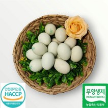 청란 유정란 청계알 청계란 HACCP 인증 41g 이상 산지직송, 청란30구