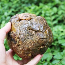 벌집 양봉 100g 프로 폴리스 가 장 꿀벌 수집 천연 오리지널 프로 폴리스 스파클링