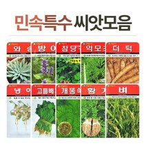 화분월드 민속/희귀 씨앗, free, 인진쑥