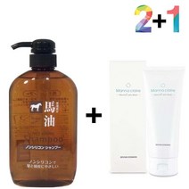 머릿결 30대 무실리콘 단백질 지성 마유 샴푸 아르간, 마유샴푸 2개_메모토아이앰플 1개