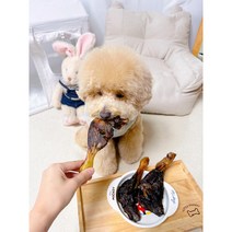 강아지뼈간식 9종 골라담기 메추리간식 오리목뼈 도가니 날개 캥거루꼬리 우족 애견수제간식, 선택5 오리몸통 1개