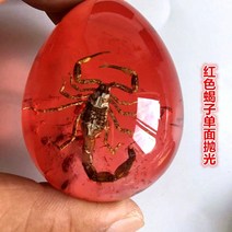 호박화석 곤충화석 장난감 인테리어 장식품 인조화석, 붉은색