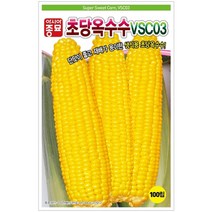 초당 옥수수씨앗 VSC03 아시아종묘 햇종자 200립 2000립, 초당옥수수씨앗 VSC03 200립