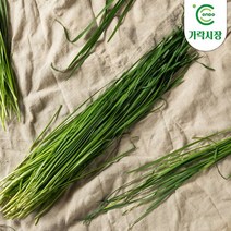 온도씨 [온도씨]가락시장 차이브 1팩(약10g), 1개