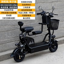 세발 노인 어르신 삼륜 3륜 스쿠터 전기 오토ㅊ바이 바이크 전동, 48V, 패밀리 플래그 20AH / 100-110km