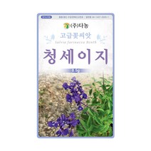 청세이지씨앗 0.5g 세이지 허브 야생화 꽃씨앗, 한결나은 청세이지 꽃 씨앗 0.5g