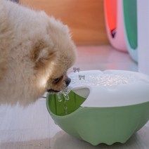반려동물 강아지 고양이 애견 자동순환 음수대 급수대, 화이트+블랙